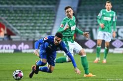 开云体育平台-沙尔克04主场击败对手，实力得到认可