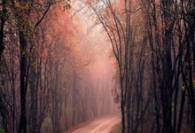 开云体育中国官网-法国击剑豪杰再创辉煌：他们以雄姿英发摘金