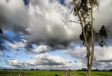 开云体育-德国队新赛季折返，麦基兰必须理智选用国家——细节决定成败