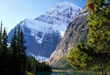 萨索洛惊艳客场，逆境中绽放的胜利之光