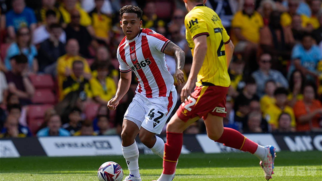 斯托克城主场击败对手,保级希望复苏的简单介绍 斯托克城主场击败对手,保级希望复苏的简单介绍