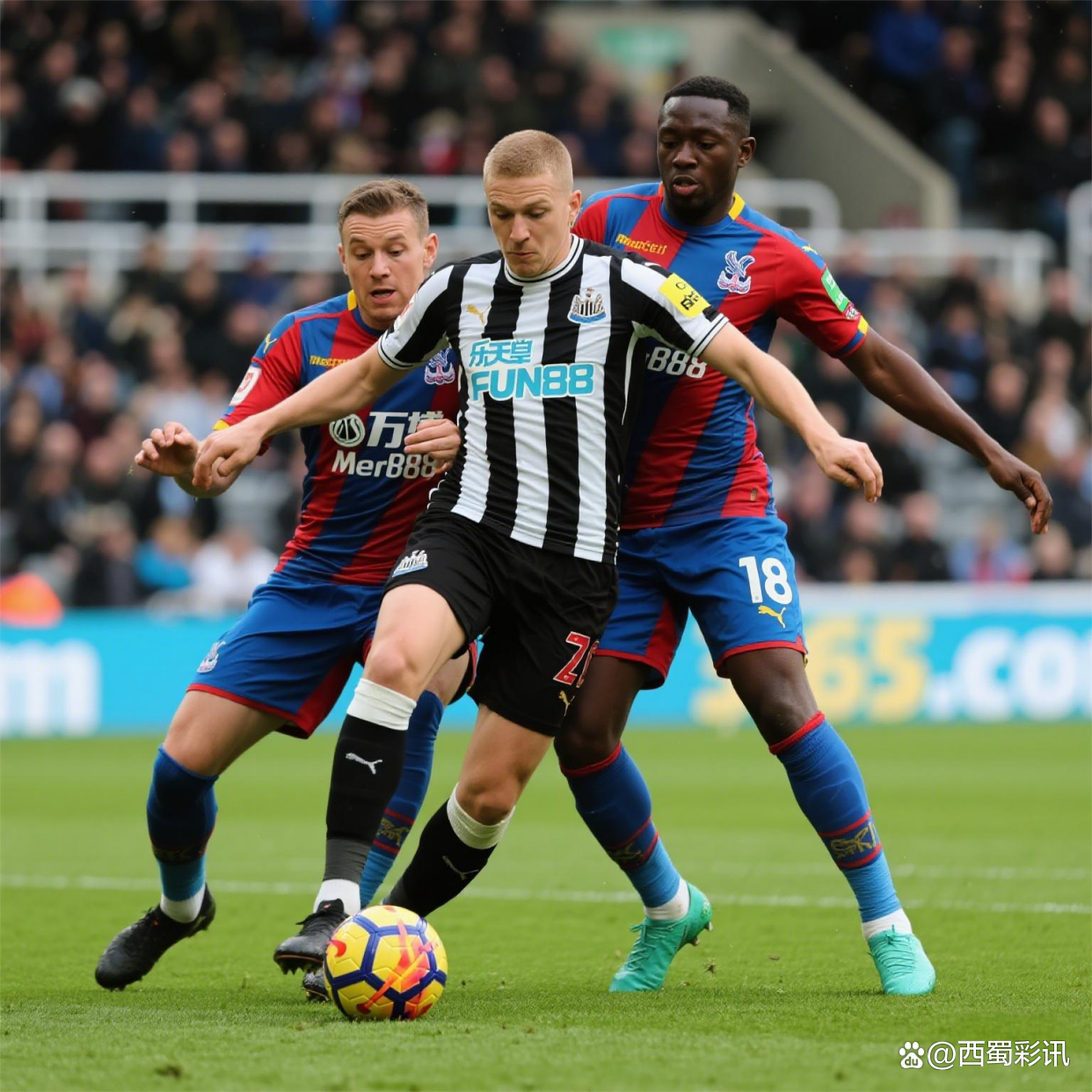 纽卡斯尔客场战平水晶宫，保级前景稍显乐观！的简单介绍