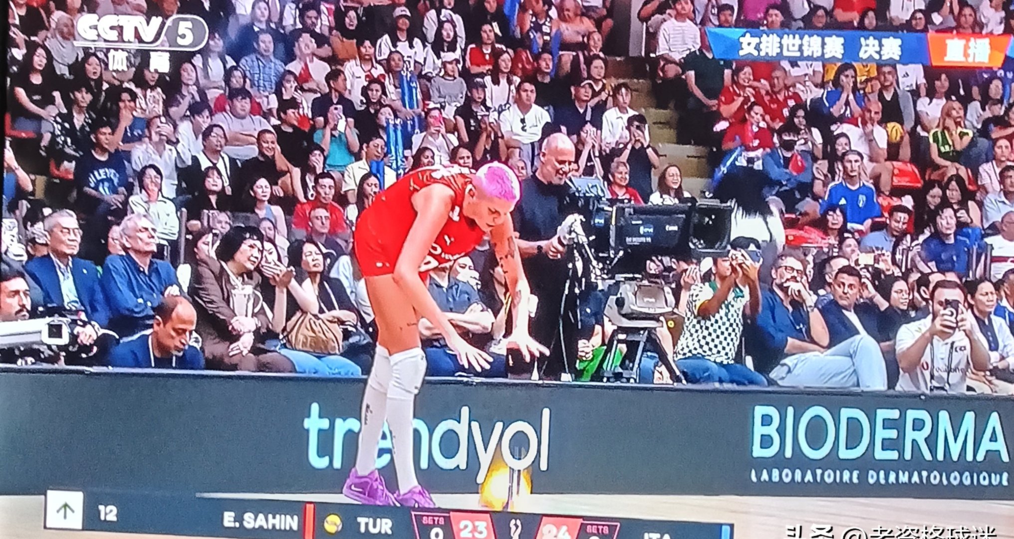 日本传奇运动员再次登上领奖台